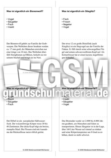 Quiz-Karten-Tiernamen 34.pdf